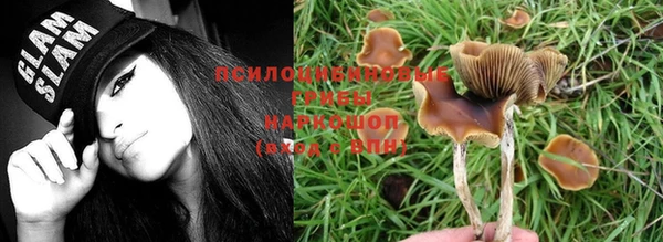 марихуана Арсеньев