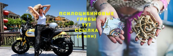 каннабис Нефтекумск