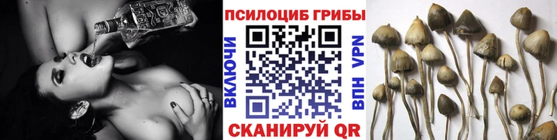 Галлюциногенные грибы GOLDEN TEACHER  дарнет шоп  Прохладный 