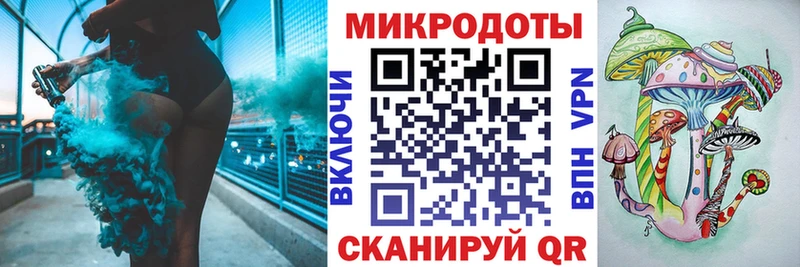 Галлюциногенные грибы Psilocybe Прохладный