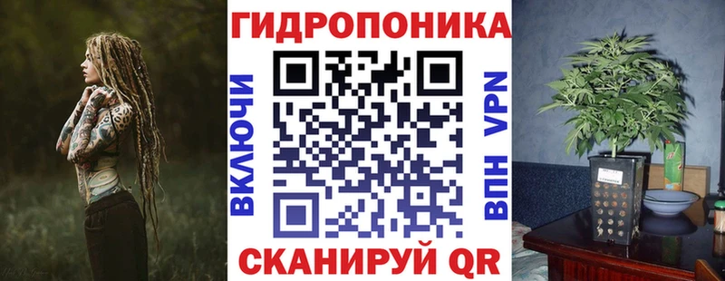 цена наркотик  omg сайт  Канабис план  Прохладный 